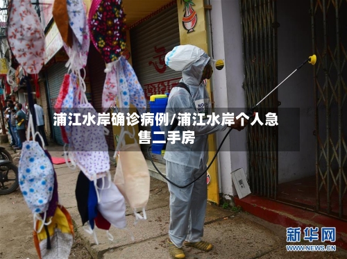 浦江水岸确诊病例/浦江水岸个人急售二手房-第3张图片