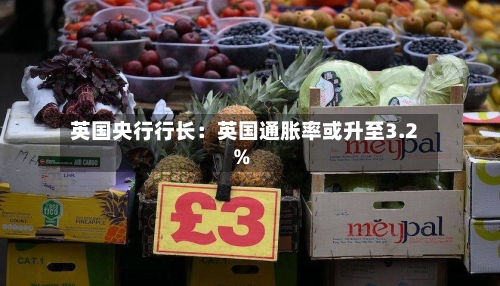 英国央行行长：英国通胀率或升至3.2%-第3张图片