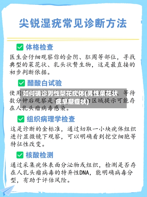 如何确诊男性菜花疣体(男性菜花状疣早期症状)-第3张图片