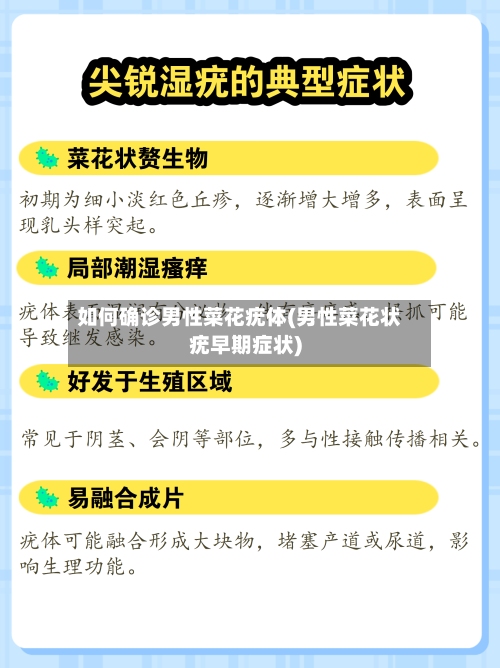 如何确诊男性菜花疣体(男性菜花状疣早期症状)