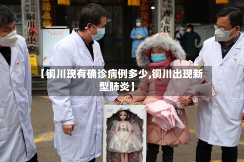【铜川现有确诊病例多少,铜川出现新型肺炎】-第2张图片