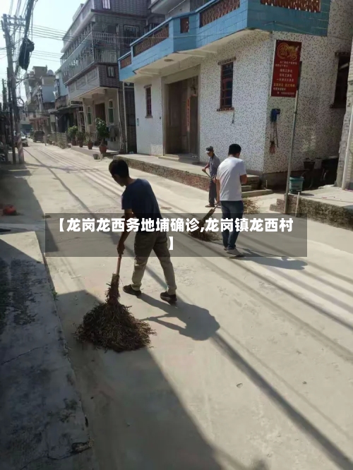 【龙岗龙西务地埔确诊,龙岗镇龙西村】-第2张图片