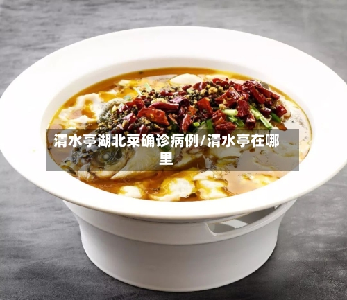 清水亭湖北菜确诊病例/清水亭在哪里