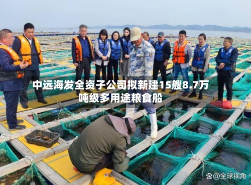 中远海发全资子公司拟新建15艘8.7万吨级多用途粮食船-第1张图片