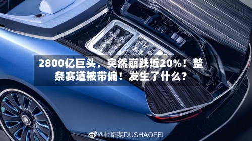 2800亿巨头	，突然崩跌近20%！整条赛道被带偏！发生了什么？-第2张图片