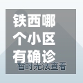铁西哪个小区有确诊的(铁西区确诊几例)