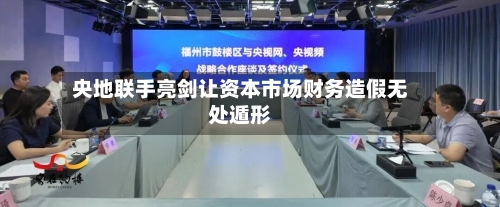 央地联手亮剑让资本市场财务造假无处遁形