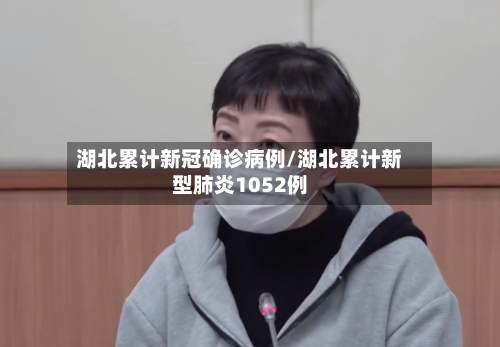 湖北累计新冠确诊病例/湖北累计新型肺炎1052例-第2张图片