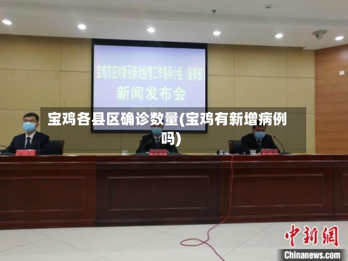宝鸡各县区确诊数量(宝鸡有新增病例吗)-第2张图片