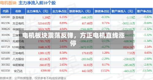 电机板块震荡反弹，方正电机直线涨停
