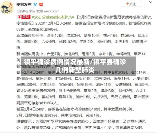 镇平确诊病例情况最新/镇平县确诊几例新型肺炎-第2张图片