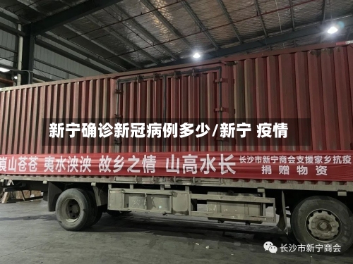 新宁确诊新冠病例多少/新宁 疫情