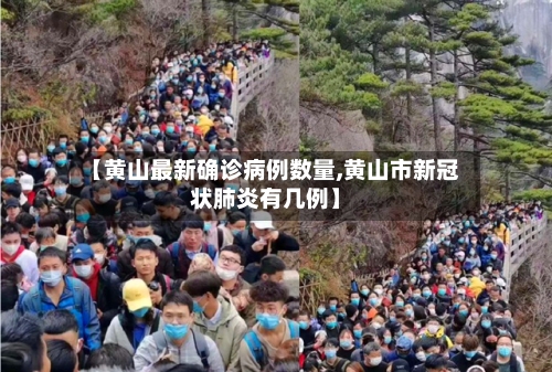 【黄山最新确诊病例数量,黄山市新冠状肺炎有几例】-第3张图片