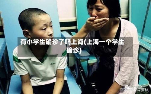 有小学生确诊了吗上海(上海一个学生确诊)-第3张图片