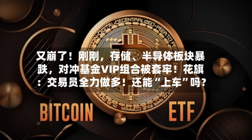 又崩了！刚刚，存储、半导体板块暴跌，对冲基金VIP组合被套牢！花旗：交易员全力做多！还能“上车”吗？-第1张图片