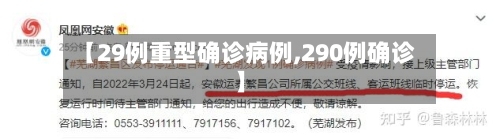 【29例重型确诊病例,290例确诊】-第3张图片