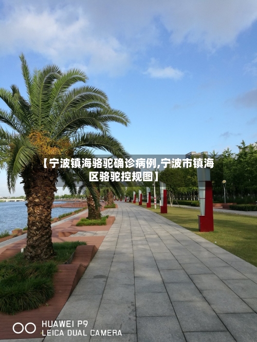 【宁波镇海骆驼确诊病例,宁波市镇海区骆驼控规图】-第2张图片
