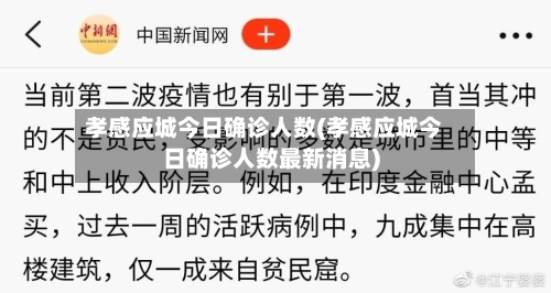 孝感应城今日确诊人数(孝感应城今日确诊人数最新消息)-第2张图片