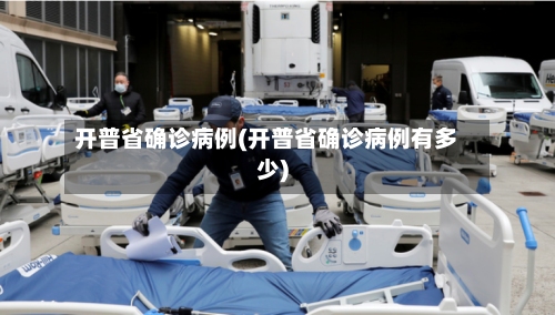 开普省确诊病例(开普省确诊病例有多少)