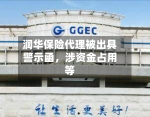 润华保险代理被出具警示函，涉资金占用等-第3张图片