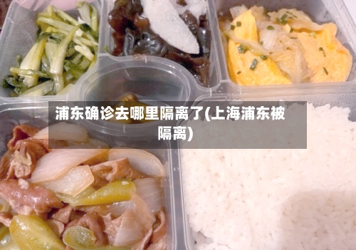 浦东确诊去哪里隔离了(上海浦东被隔离)-第2张图片