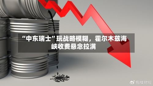 “中东瑞士”玩战略模糊，霍尔木兹海峡收费悬念拉满-第2张图片