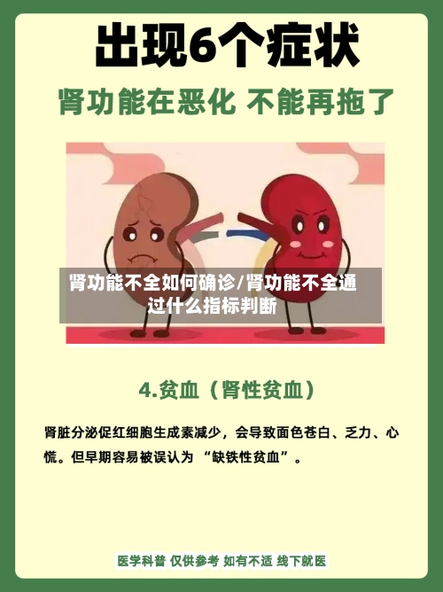 肾功能不全如何确诊/肾功能不全通过什么指标判断-第2张图片