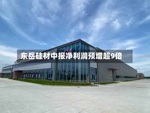 东岳硅材中报净利润预增超9倍-第2张图片