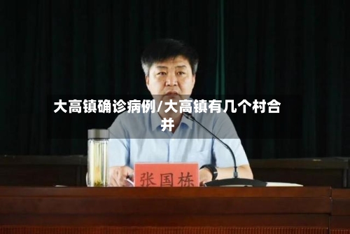 大高镇确诊病例/大高镇有几个村合并