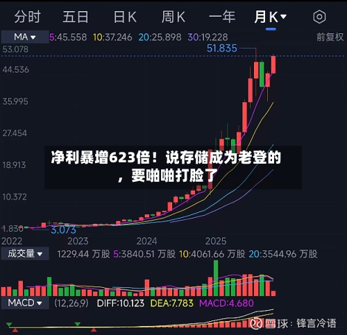 净利暴增623倍！说存储成为老登的，要啪啪打脸了-第1张图片