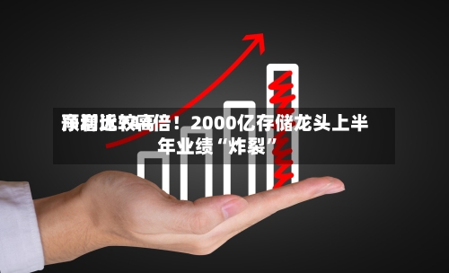 净利比较高预增近744倍！2000亿存储龙头上半年业绩“炸裂”