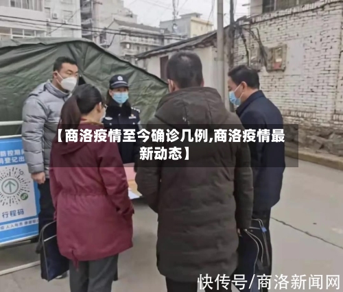 【商洛疫情至今确诊几例,商洛疫情最新动态】-第2张图片