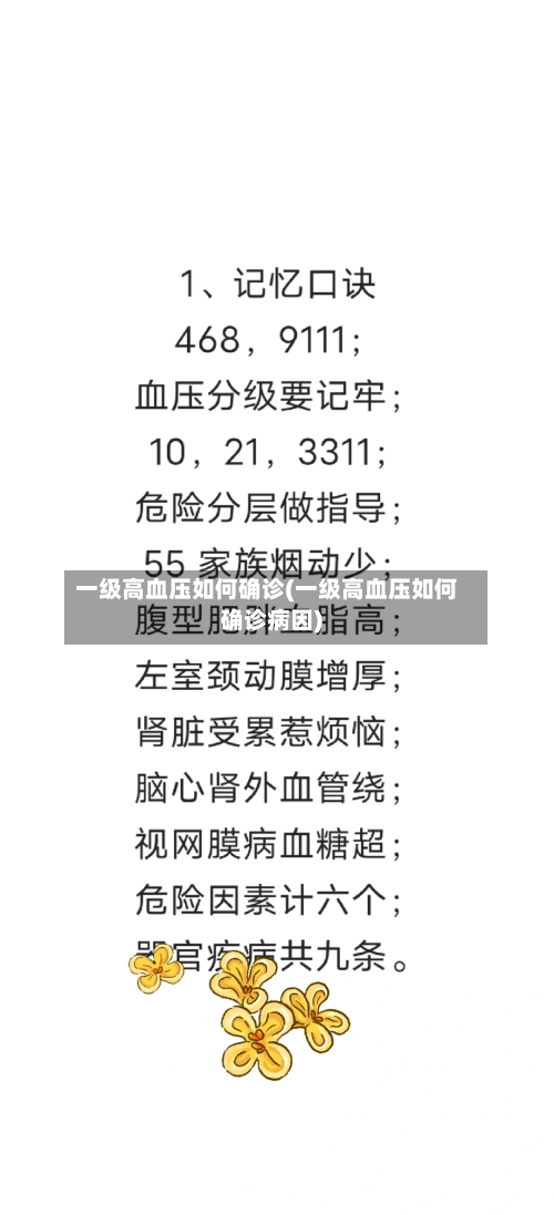 一级高血压如何确诊(一级高血压如何确诊病因)