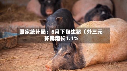 国家统计局：6月下旬生猪（外三元）费用环比增长1.1%