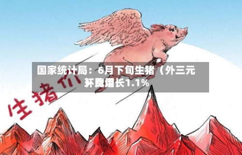国家统计局：6月下旬生猪（外三元）费用环比增长1.1%-第2张图片