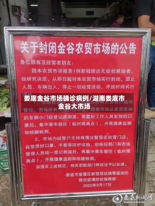 娄底金谷市场确诊病例/湖南娄底市金谷大市场-第3张图片