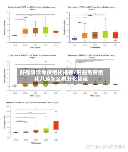 肝癌确诊免疫组化指标/肝癌免疫组化八项怎么看分化程度-第2张图片