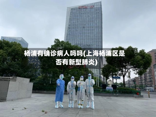 杨浦有确诊病人吗吗(上海杨浦区是否有新型肺炎)-第2张图片