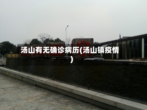 汤山有无确诊病历(汤山镇疫情)-第3张图片