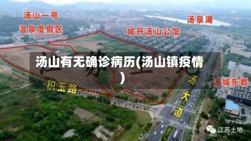 汤山有无确诊病历(汤山镇疫情)-第2张图片