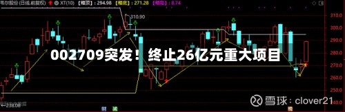 002709突发！终止26亿元重大项目