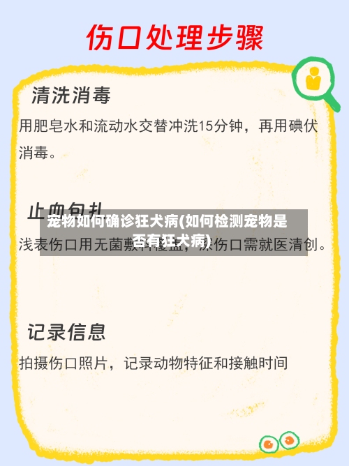 宠物如何确诊狂犬病(如何检测宠物是否有狂犬病)-第3张图片
