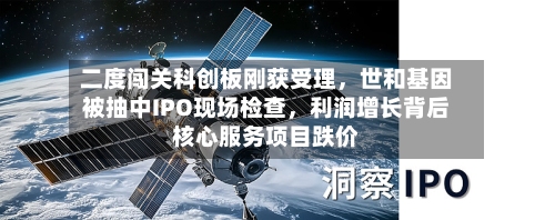 二度闯关科创板刚获受理，世和基因被抽中IPO现场检查，利润增长背后核心服务项目跌价-第2张图片