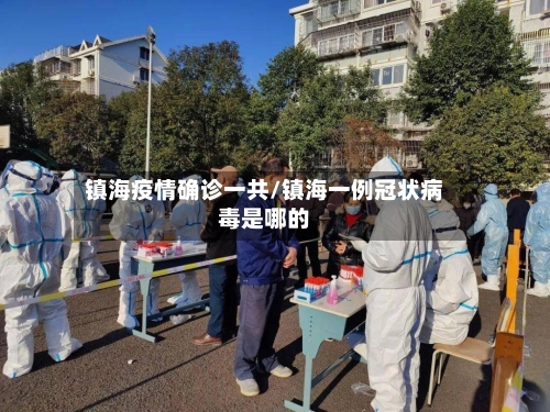 镇海疫情确诊一共/镇海一例冠状病毒是哪的-第2张图片