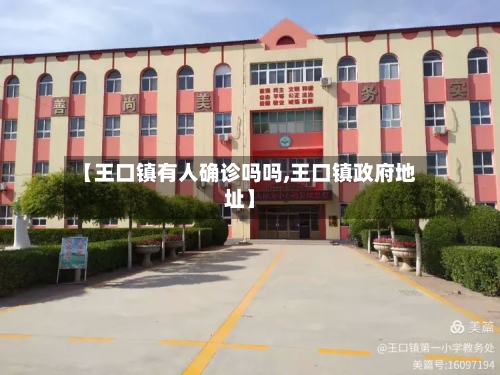 【王口镇有人确诊吗吗,王口镇政府地址】