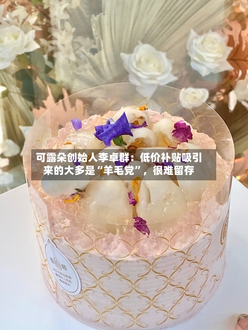 可露朵创始人李卓群：低价补贴吸引来的大多是“羊毛党”，很难留存-第2张图片