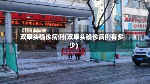 双阜头确诊病例(双阜头确诊病例有多少)