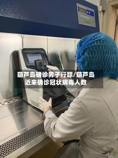 葫芦岛确诊男子行踪/葫芦岛近来确诊冠状病毒人数-第3张图片