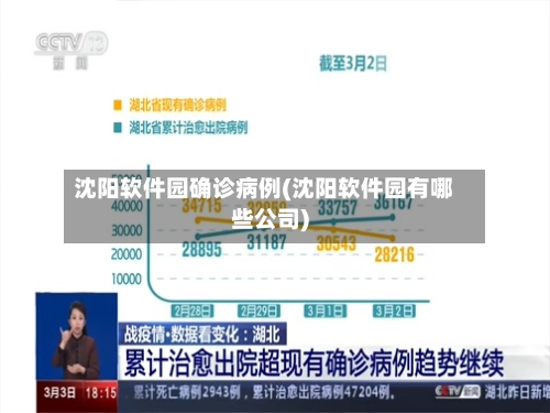 沈阳软件园确诊病例(沈阳软件园有哪些公司)