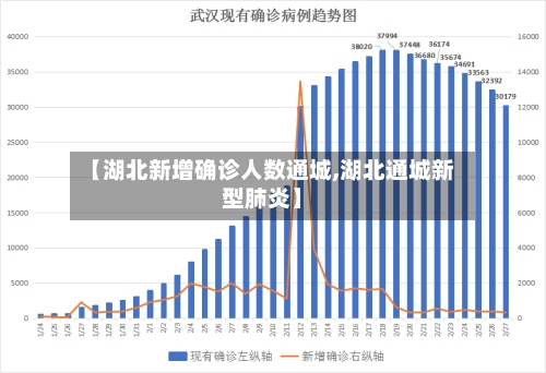 【湖北新增确诊人数通城,湖北通城新型肺炎】